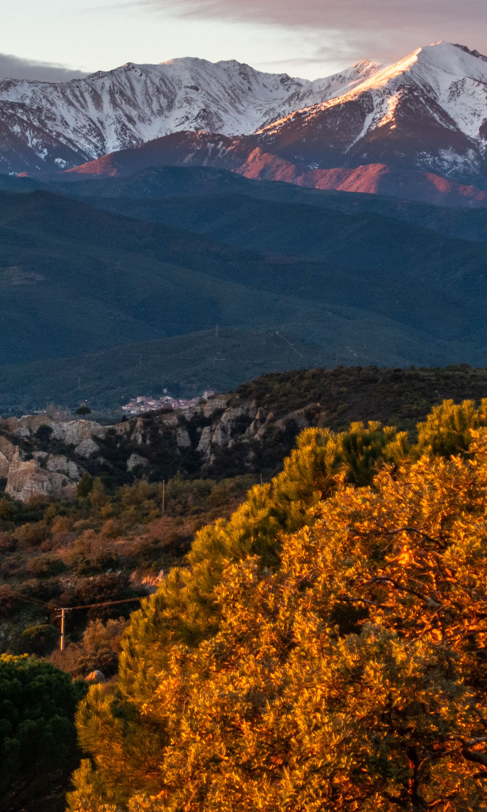 Où aller dans les Pyrénées en été ?